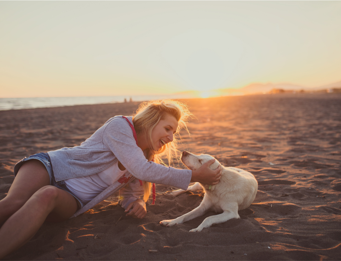 dog and woman on beach santa monica