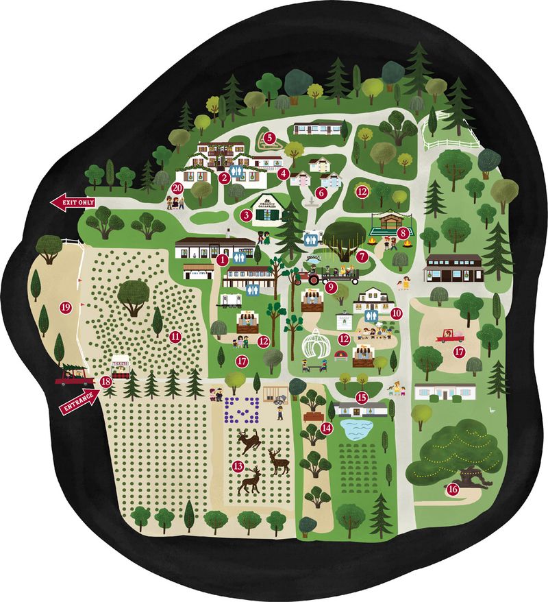 Christmas Nights at 123 Farm 123 Farm Christmas Nights