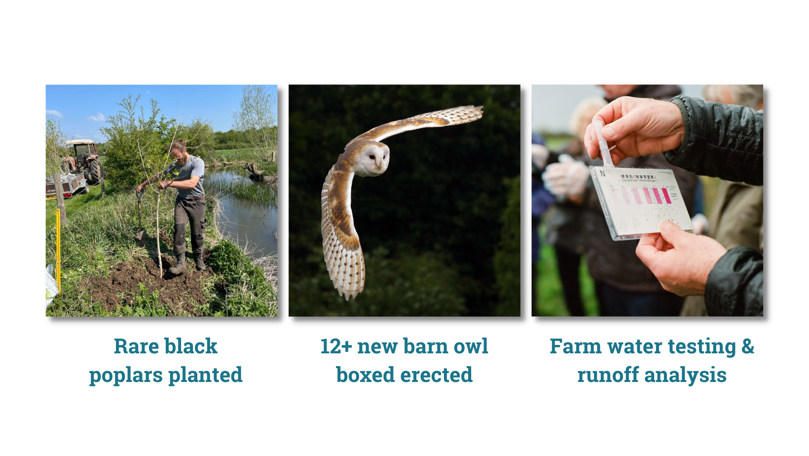 Local farmers combine forces to create the Thame Catchment Farm Cluster