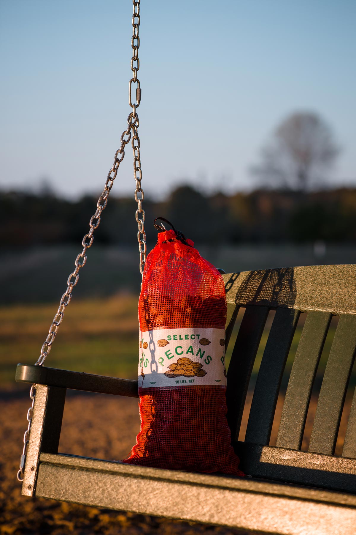 Newberry Pecans About