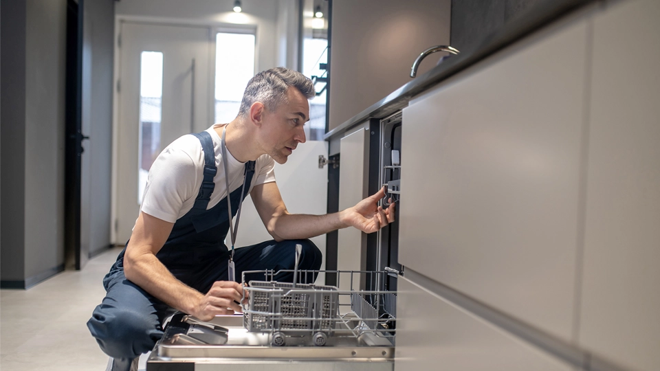 Kitchen Appliance Insurance Big Warranties Low Prices