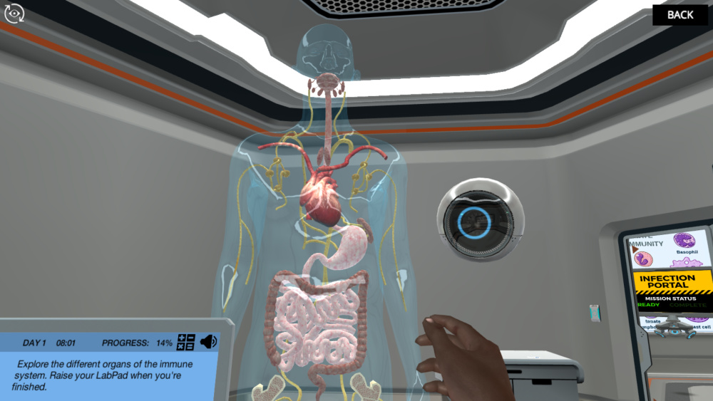 immunology virtual lab 4