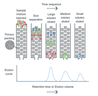 Size exclusion chromatography