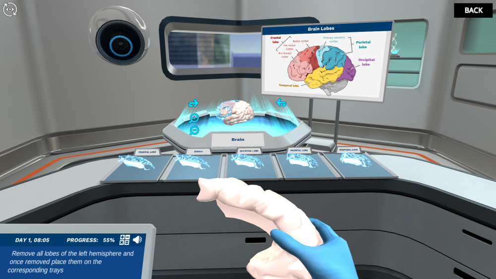 Introduction-to-the-Central-Nervous-System-virtual-lab-image