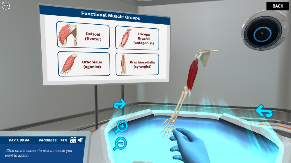 Skeletal-Muscle-Movement-virtal-lab-image