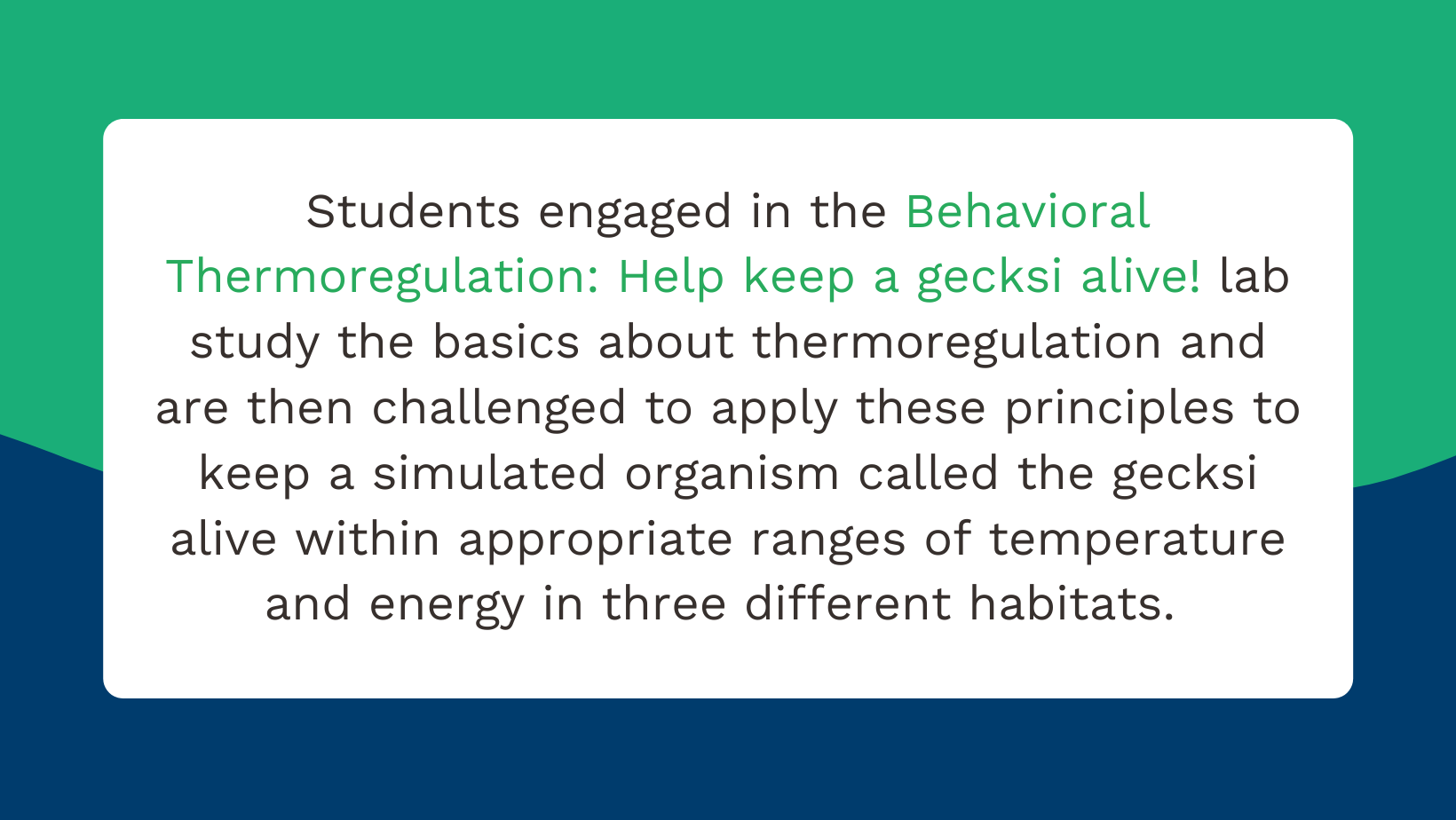 How Labster used research to imagine, build, test, and improve its platform