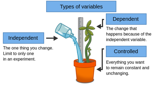 experimental variables