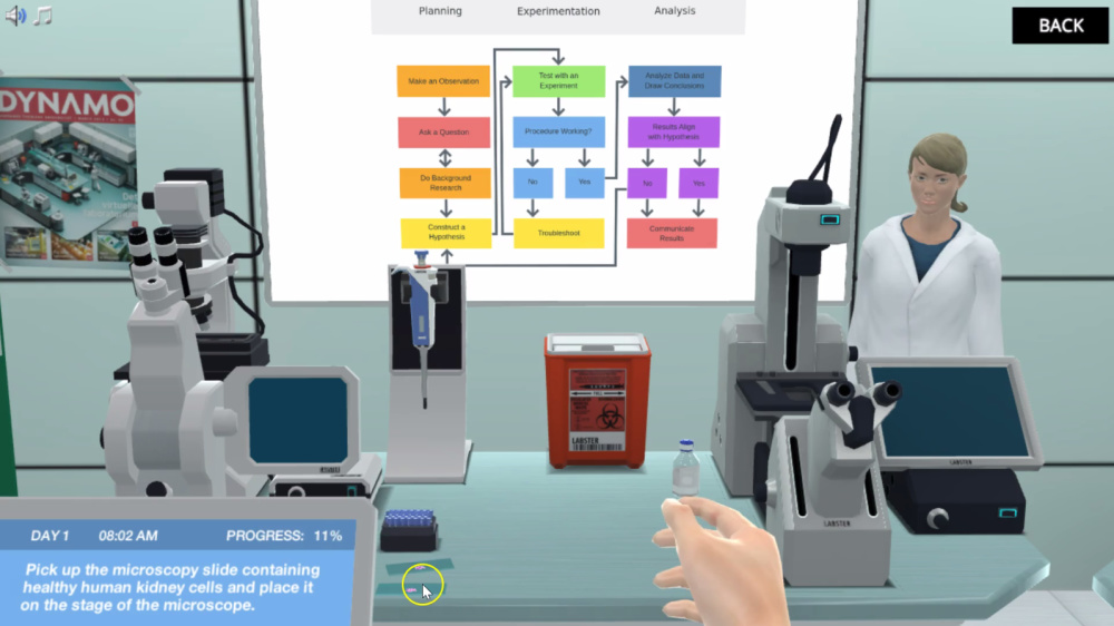 experimental design virtual lab 2