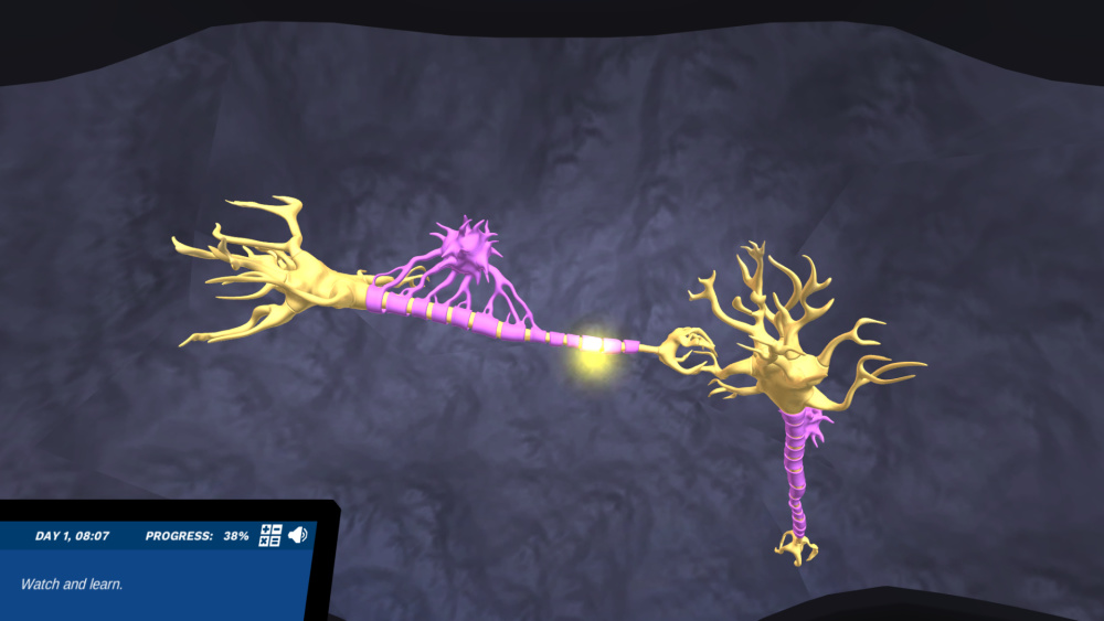 gross functions of nervous system virtual lab