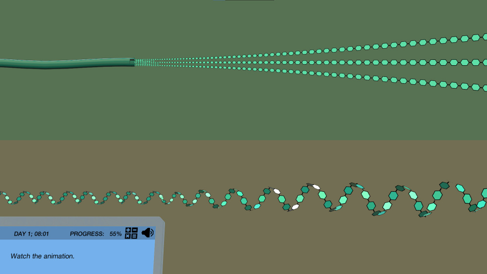 Iodine Test for Complex Carbohydrates Virtual Lab 2