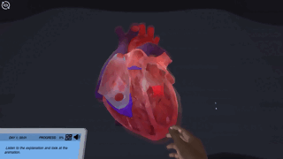 Cardiovascular Function During Exercise simulation GIF