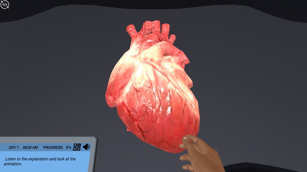 Cardiovascular Function During Exercise virtual lab