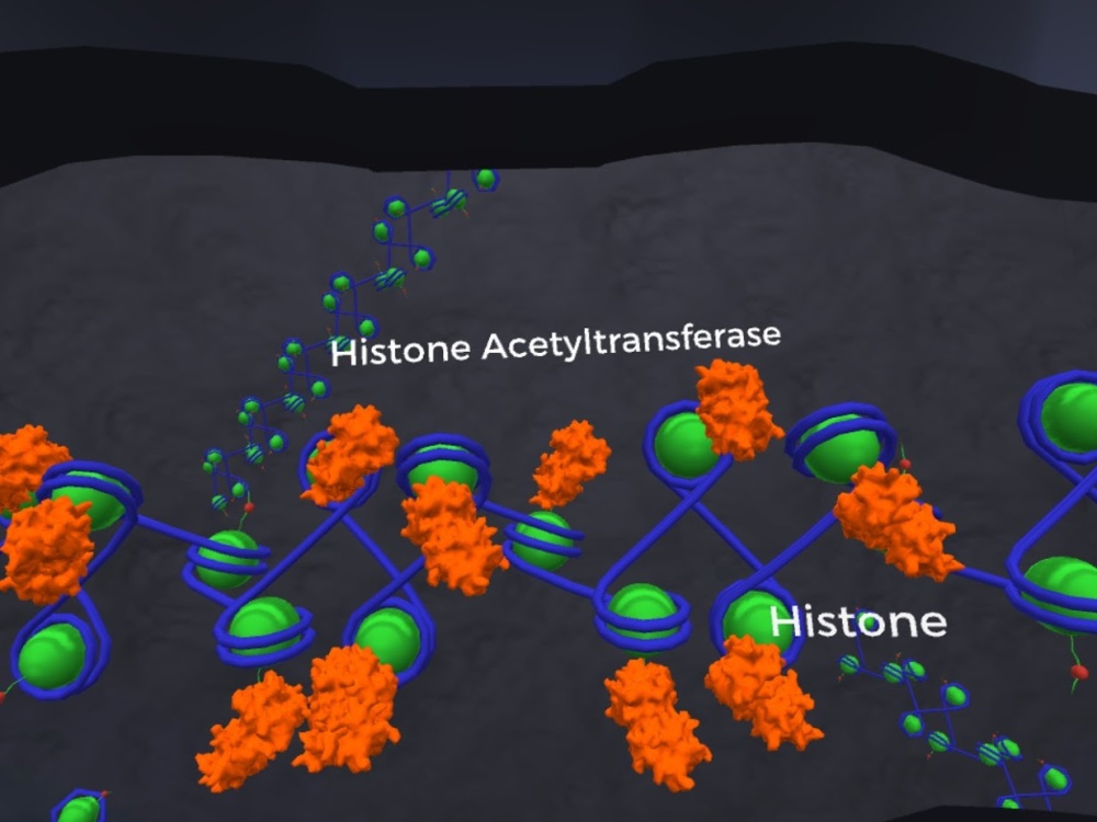 5 Ways to Make Gene Expression, Linkage and Regulation Approachable to Students