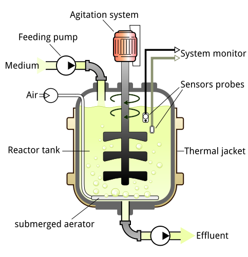 fermentor