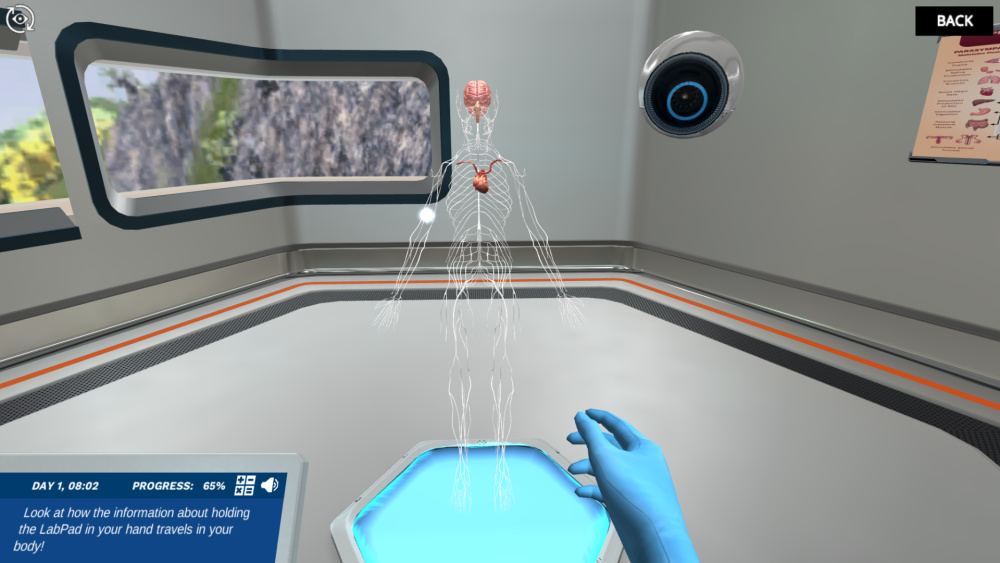 nervous system virtual lab 2