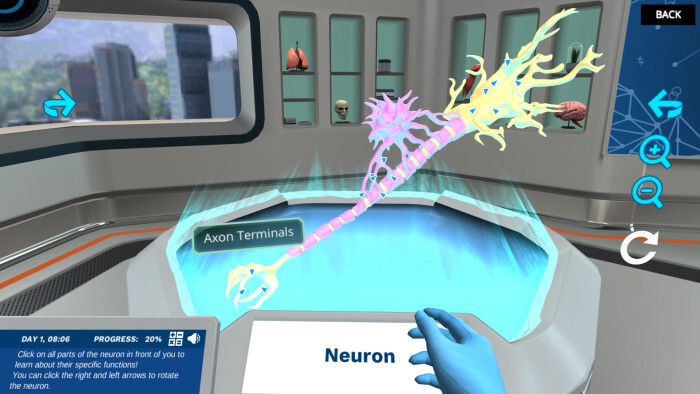 5 Creative Ways to Teach Students the Microanatomy of a Neuron