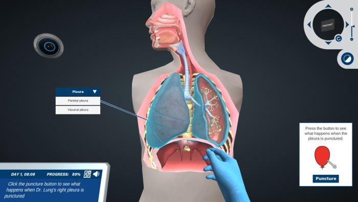 Preview of Puncture the lung simulation.