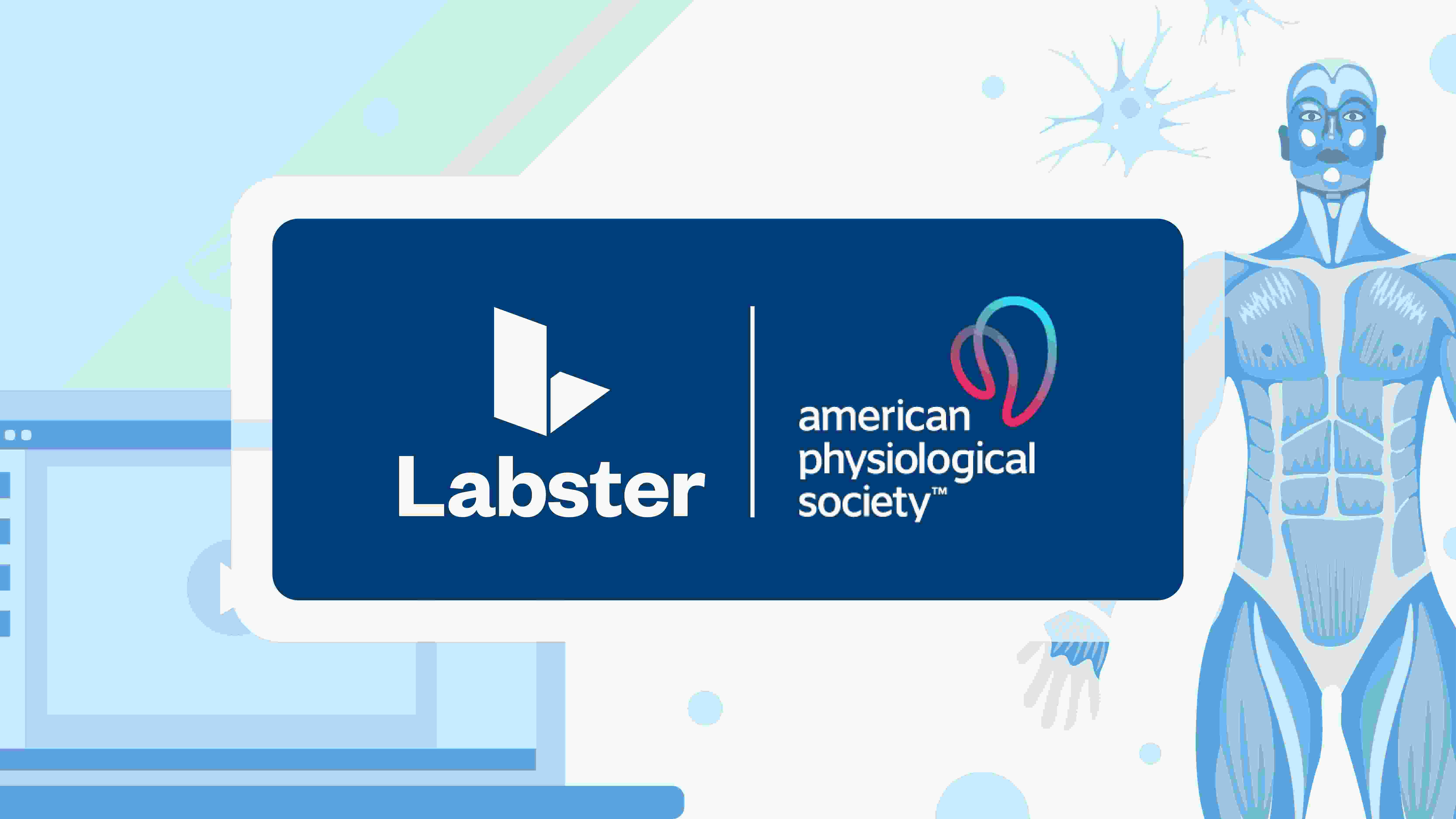 Adapting the Thinking Classroom Framework to Physiology Education