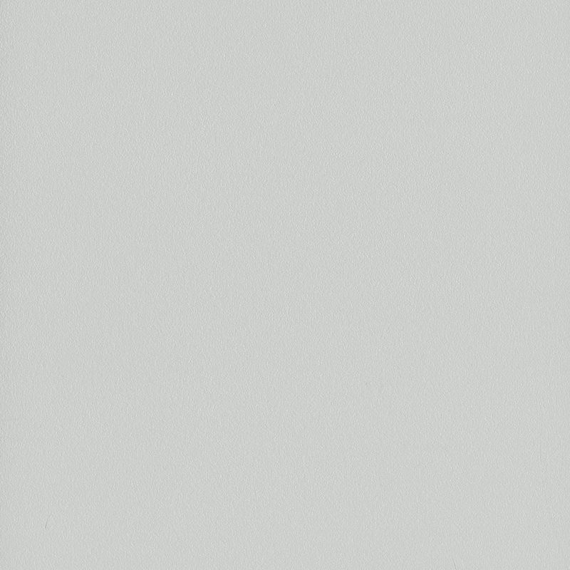 Paint Finish Seagull - gen2