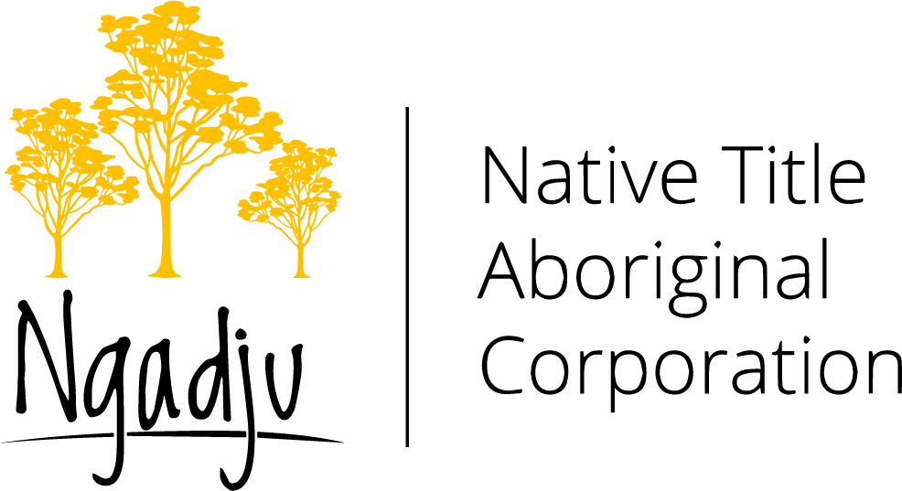 The Ngadju Native Aboriginal Title Corporation
