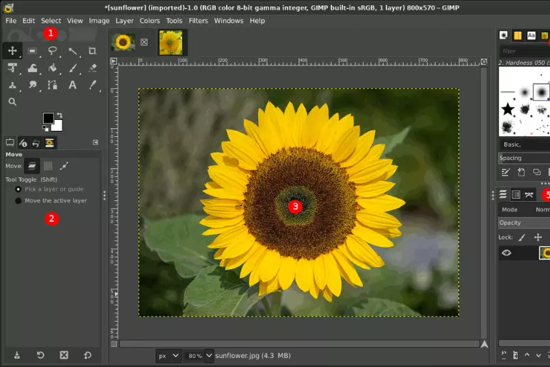 Free Online Image Resizer For Android Instantly
