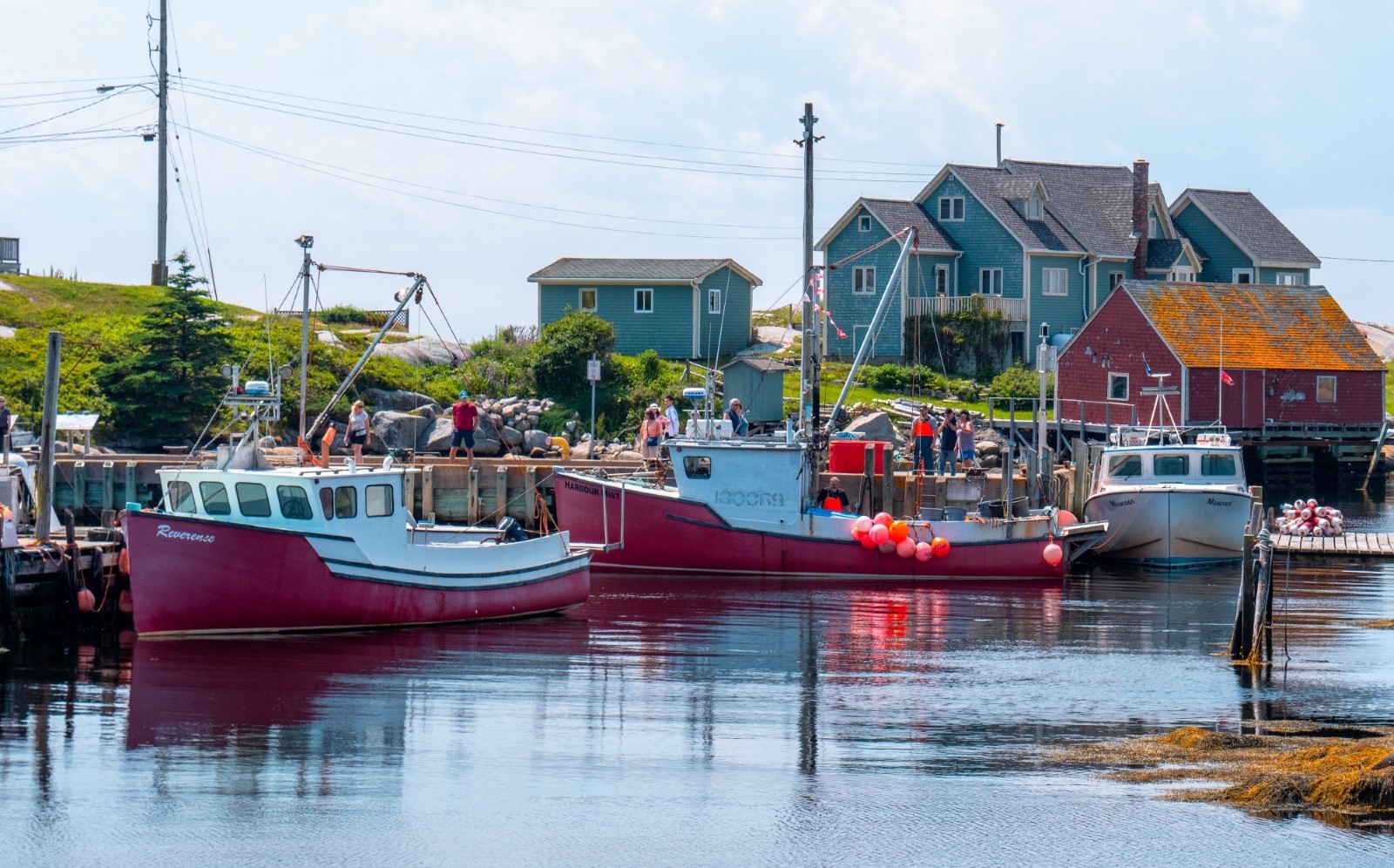 Lighthouse to Lobster Rolls Exploring Peggy's Cove in 2024