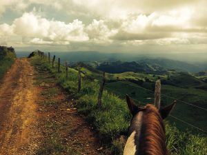 caballo camino