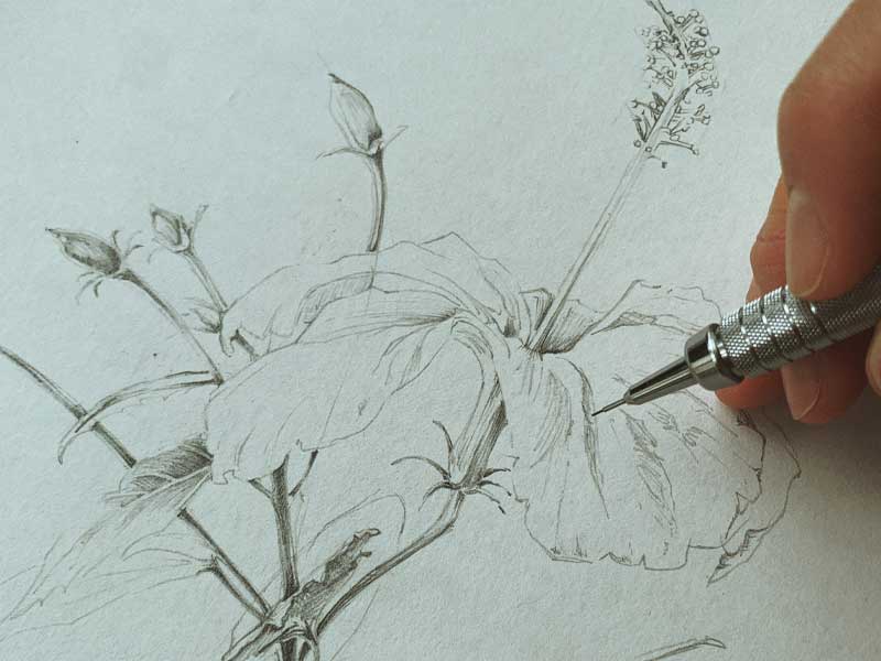 Hotel Belmar Blog Artist Residency Antonia Reyes Montealegre