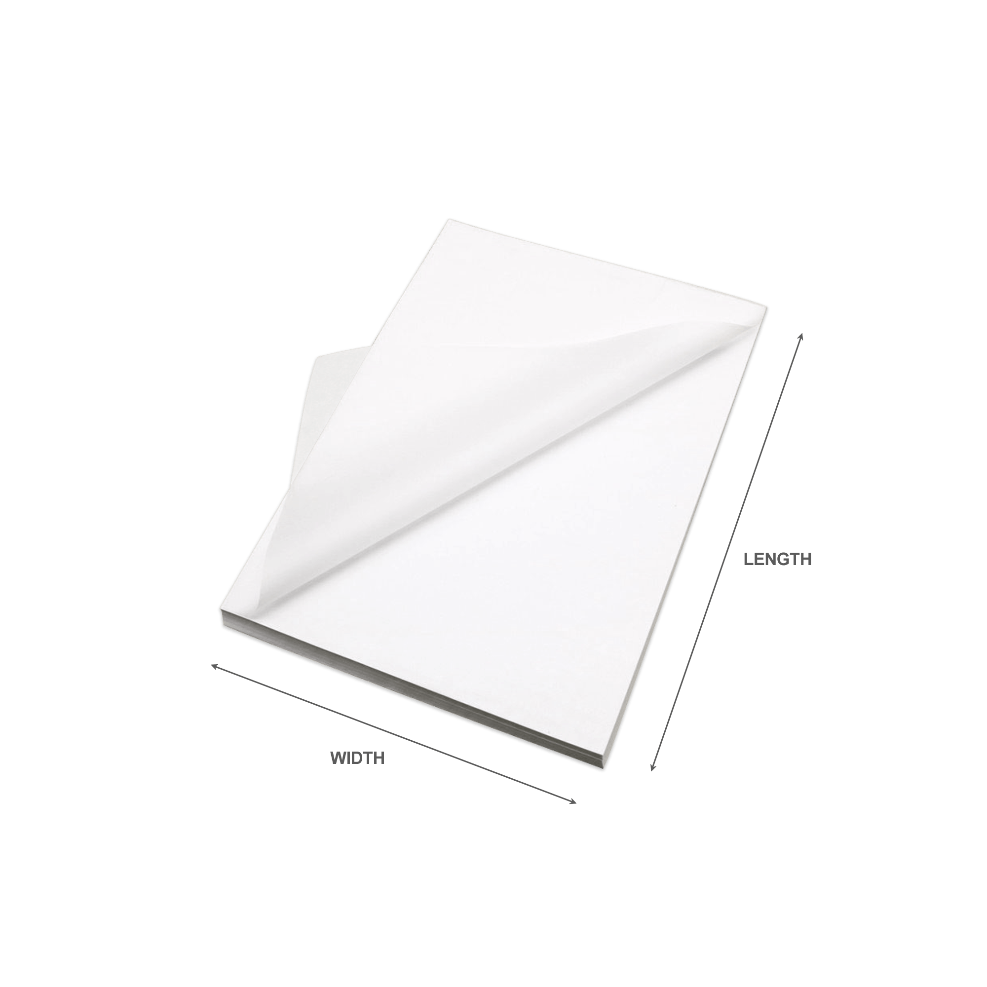 Custom Tissue Paper with Logo PackM