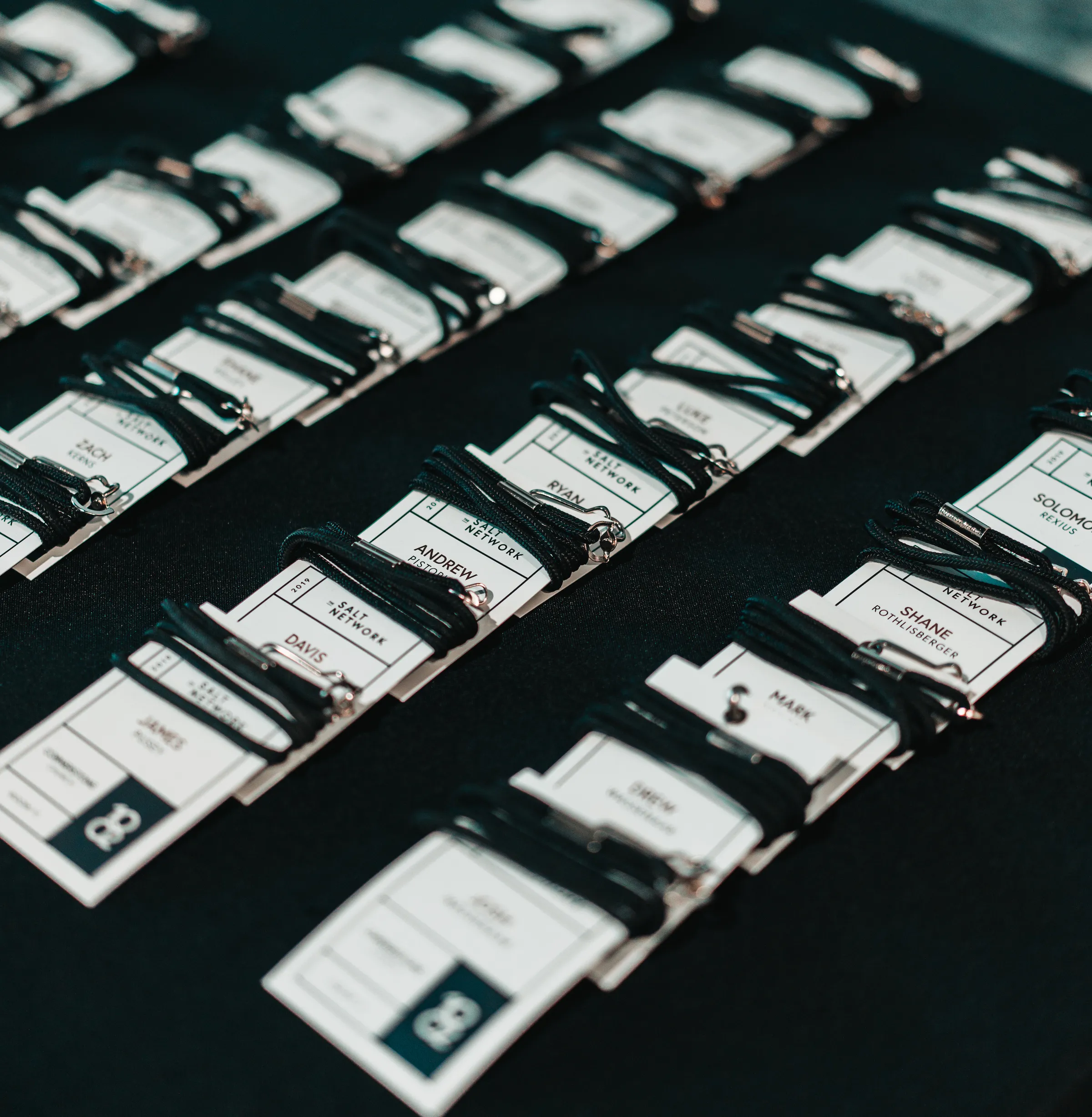 Jobs The Salt Network