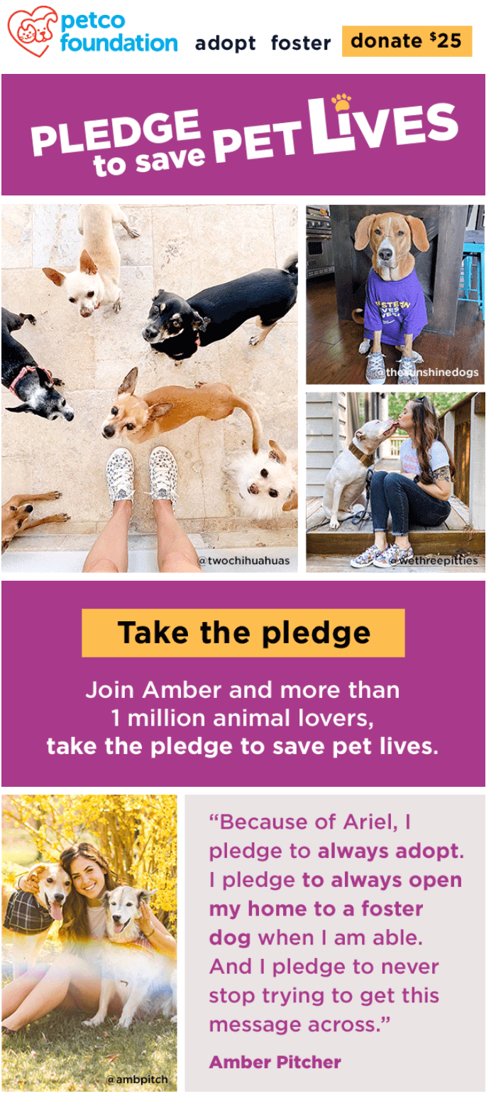 Philanthropy campaign with pets and a user review