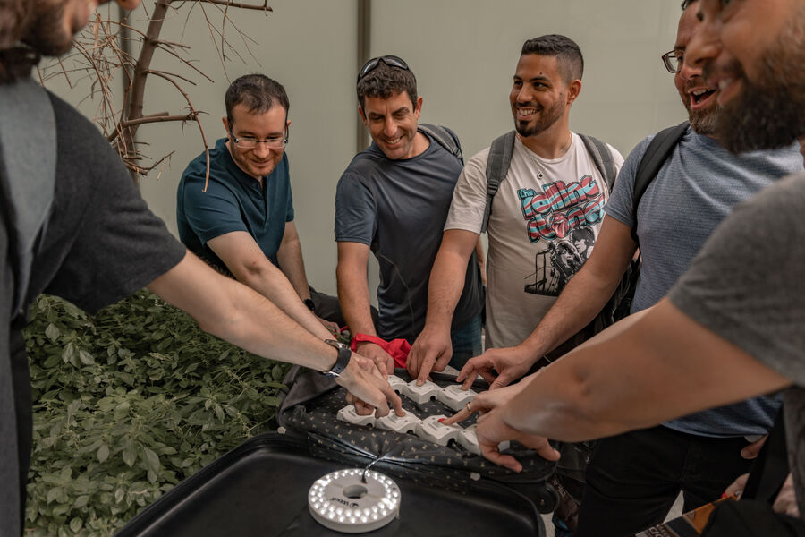 API Security Jobs — Careers at Salt Security