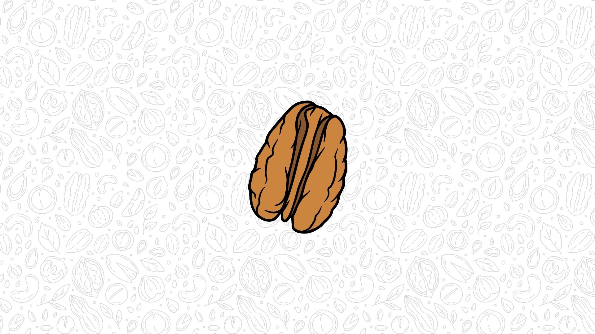 An illustration of a pecan, shelled