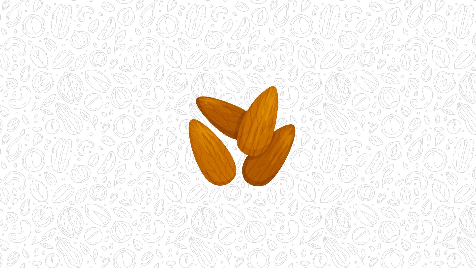 An illustration of three almonds