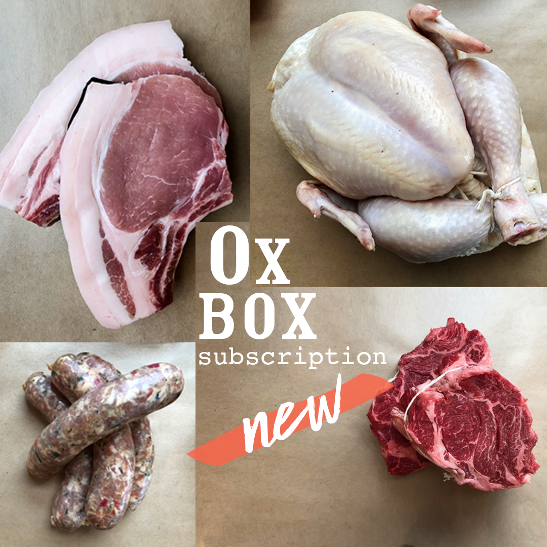 The Whole Ox — Home