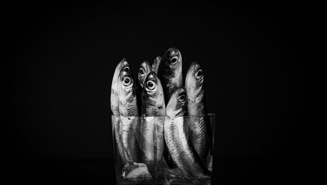 Fish vs Flax AKA The Omega 3 Overview VIDEO Natural Nourishment