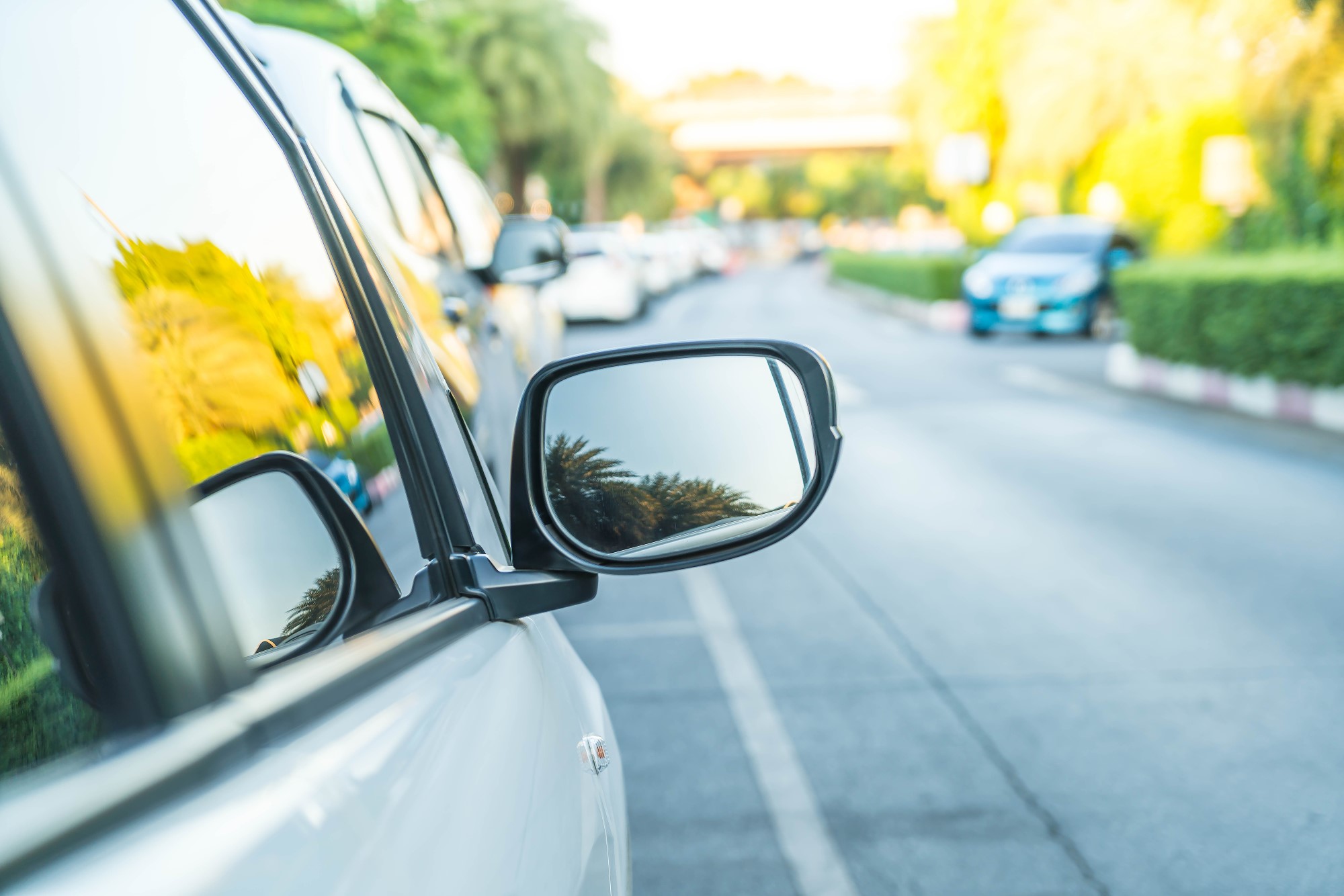 Florida Windshield Replacement Law Explained