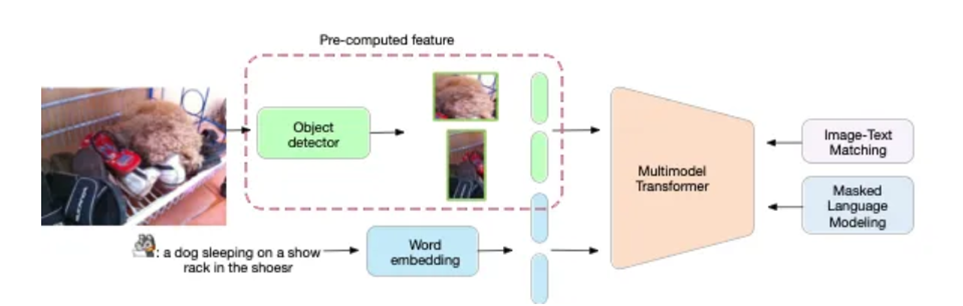 Cognitivo