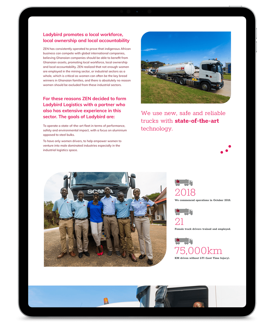 Ladybird Logistics Website Design And Build ladybird-logistics-website-design-and-build