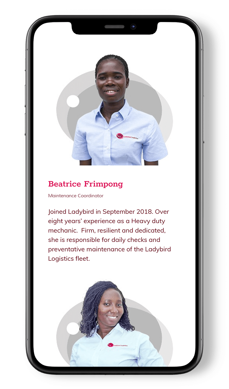 ladybird-logistics-website-design-and-build
