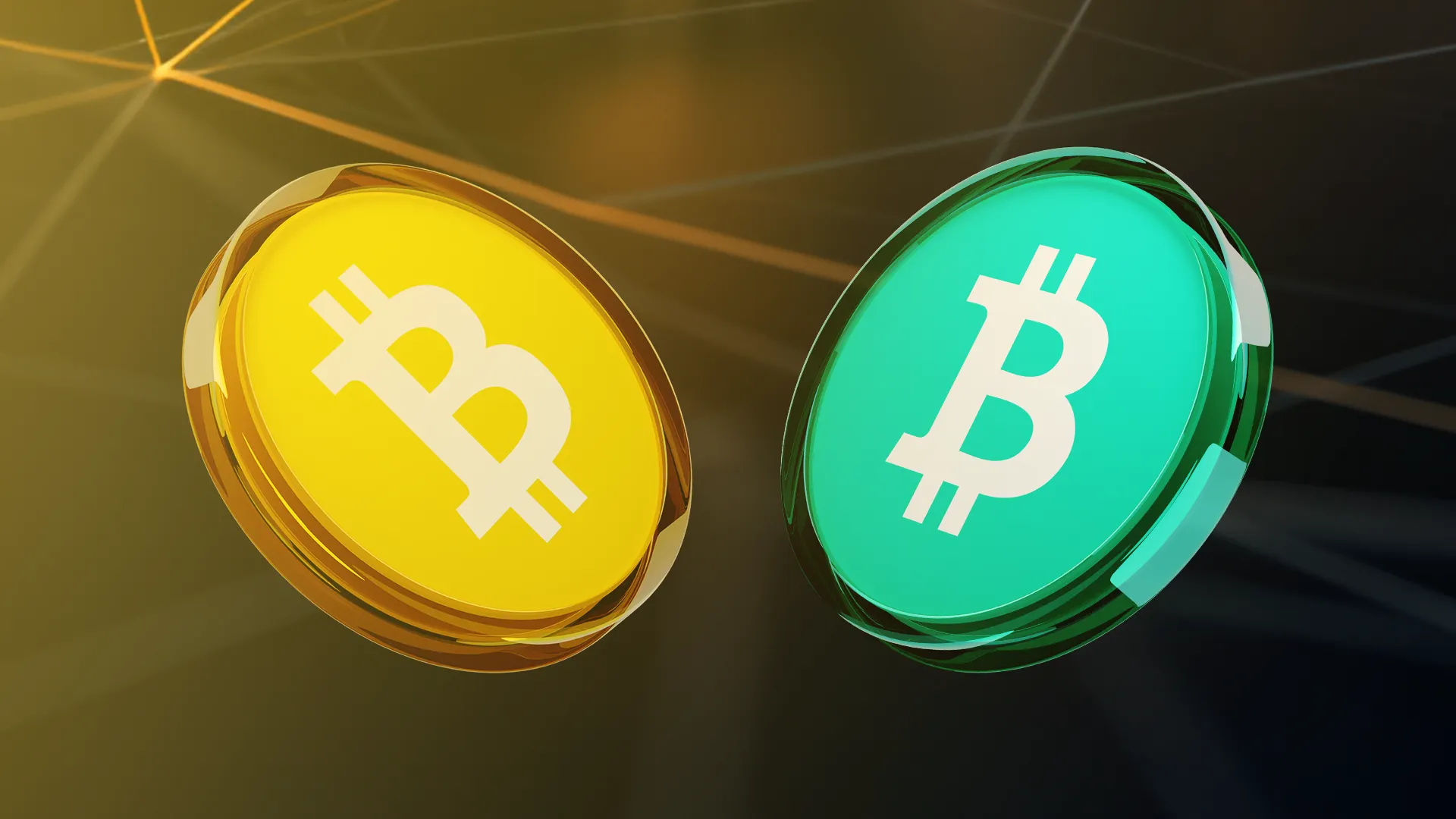 Bitcoin vs Bitcoin Cash