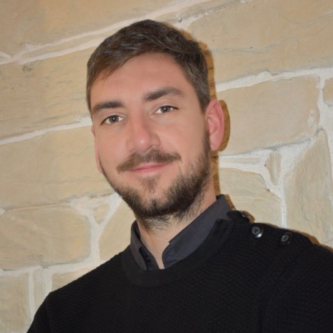 Alberto Maria Marin, Psicoterapeuta ad orientamento Interazionista