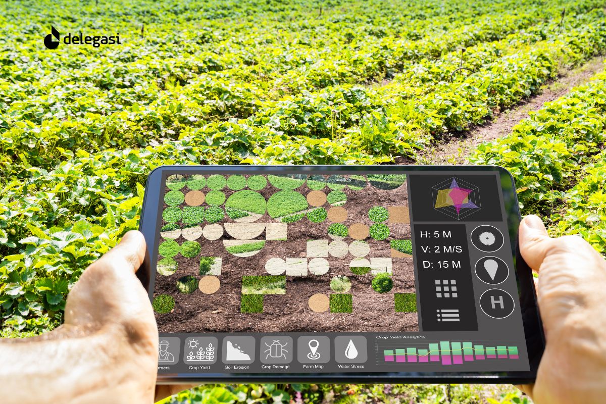 Petani Kalbar menggunakan smartphone untuk akses aplikasi AI