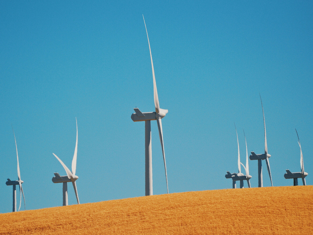 Learn how the Planet Impact Fund is investing in sustainable forestry and renewable energy.