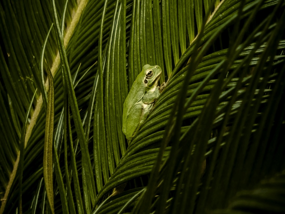 Where your money sleeps matters.