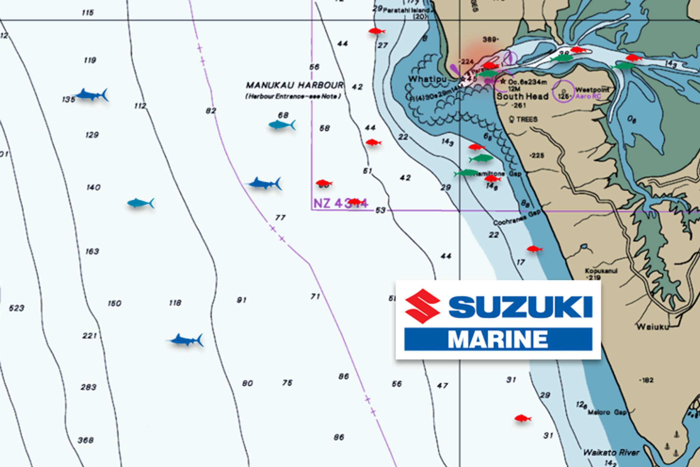 Fishing Report for Manukau Harbour and Auckland West Coast March