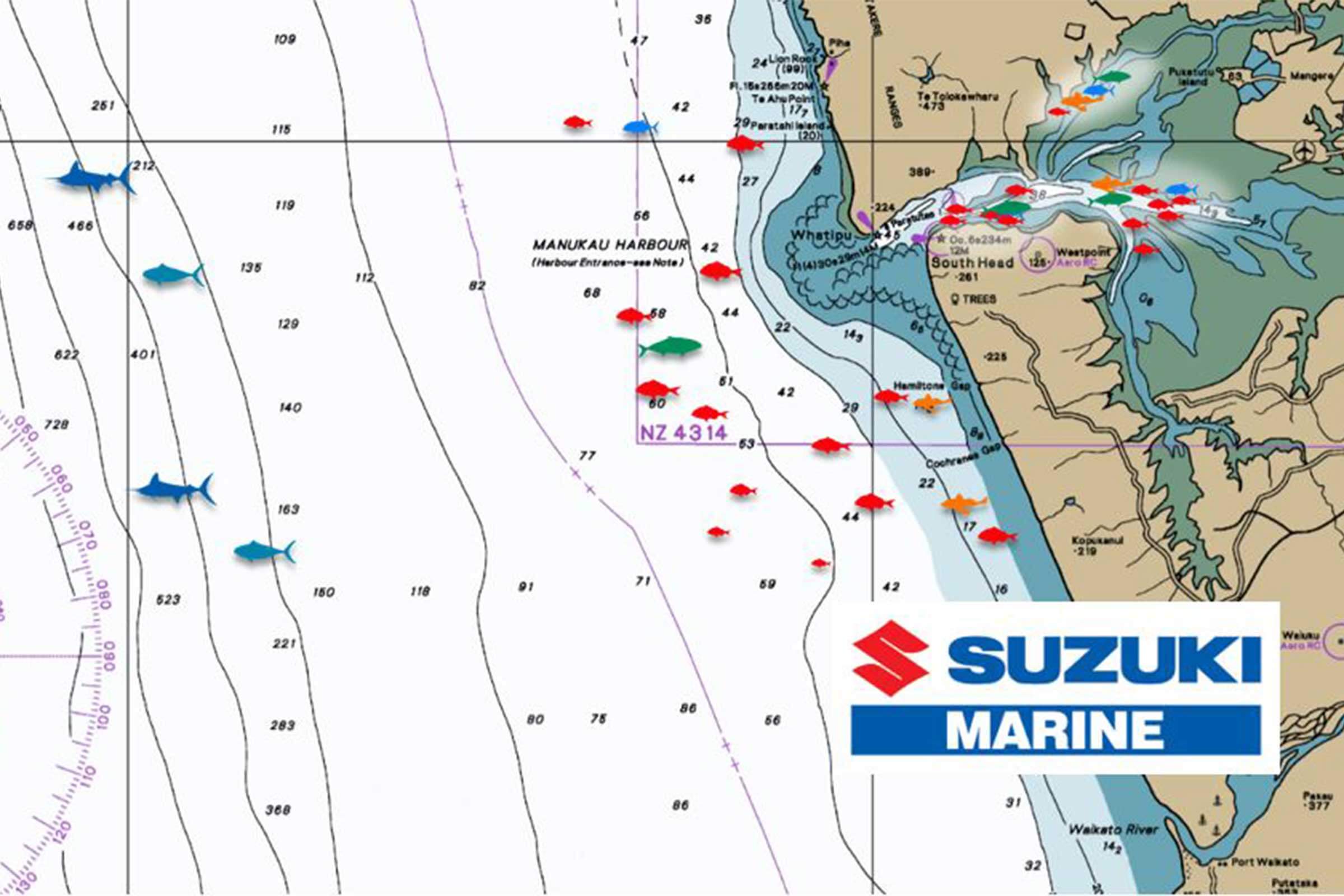 Fishing Report for Manukau and Auckland West Coast Jan