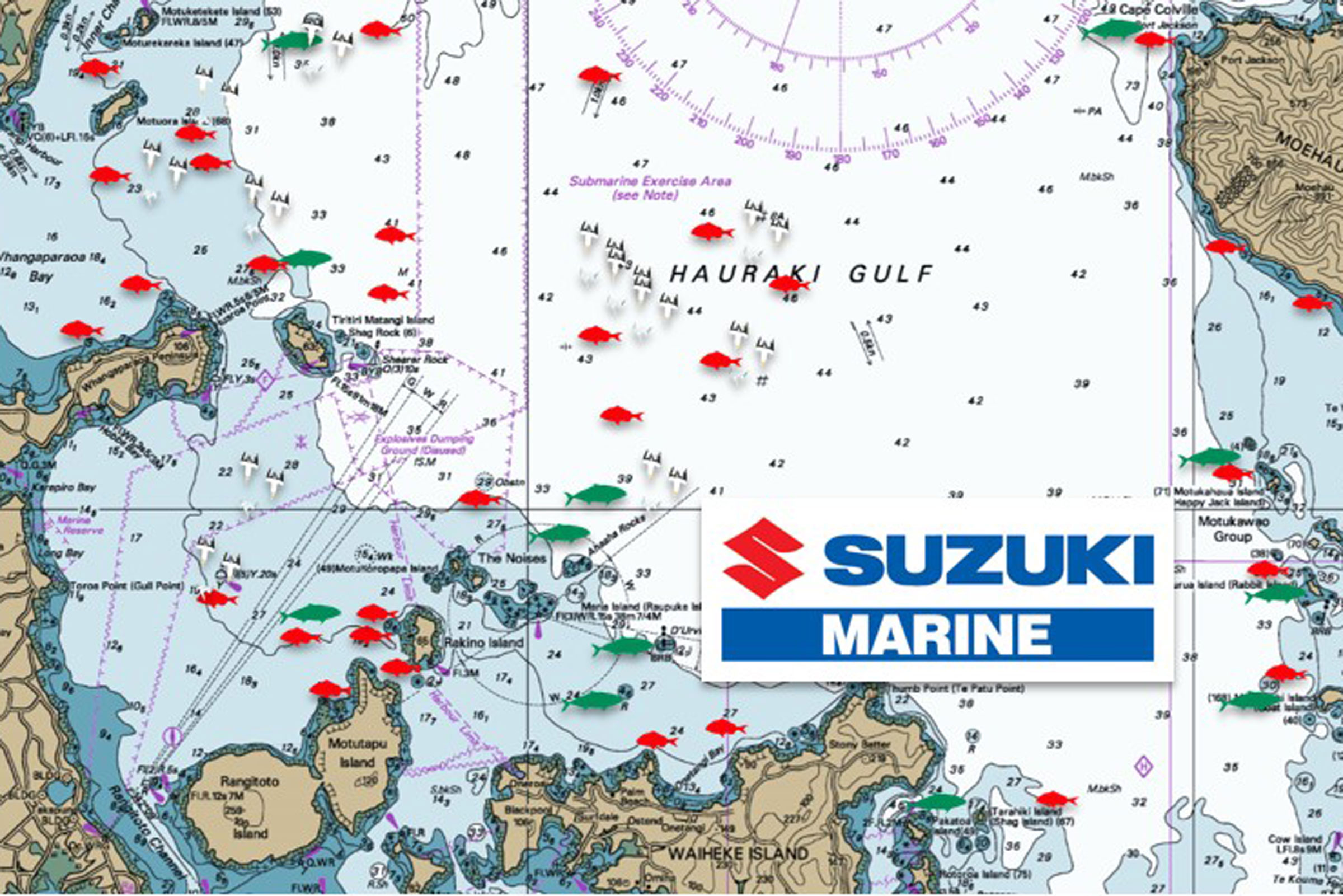 Fishing Report for Hauraki Gulf 12 April