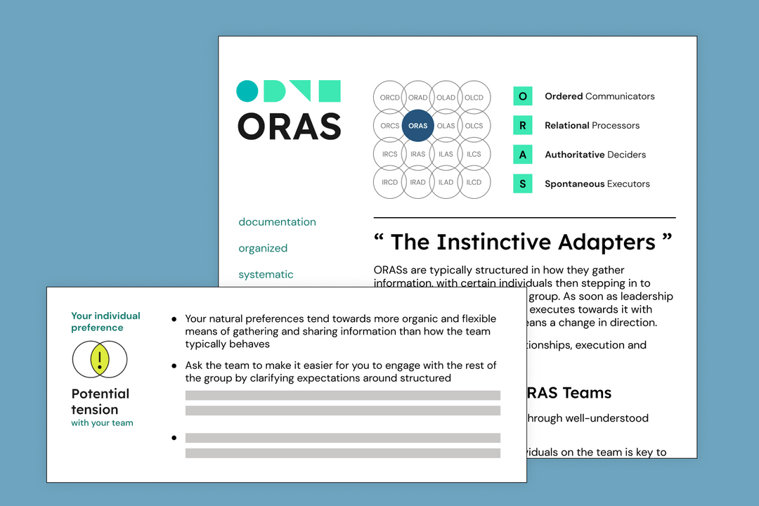 Teamdynamics the personality test for modern teams