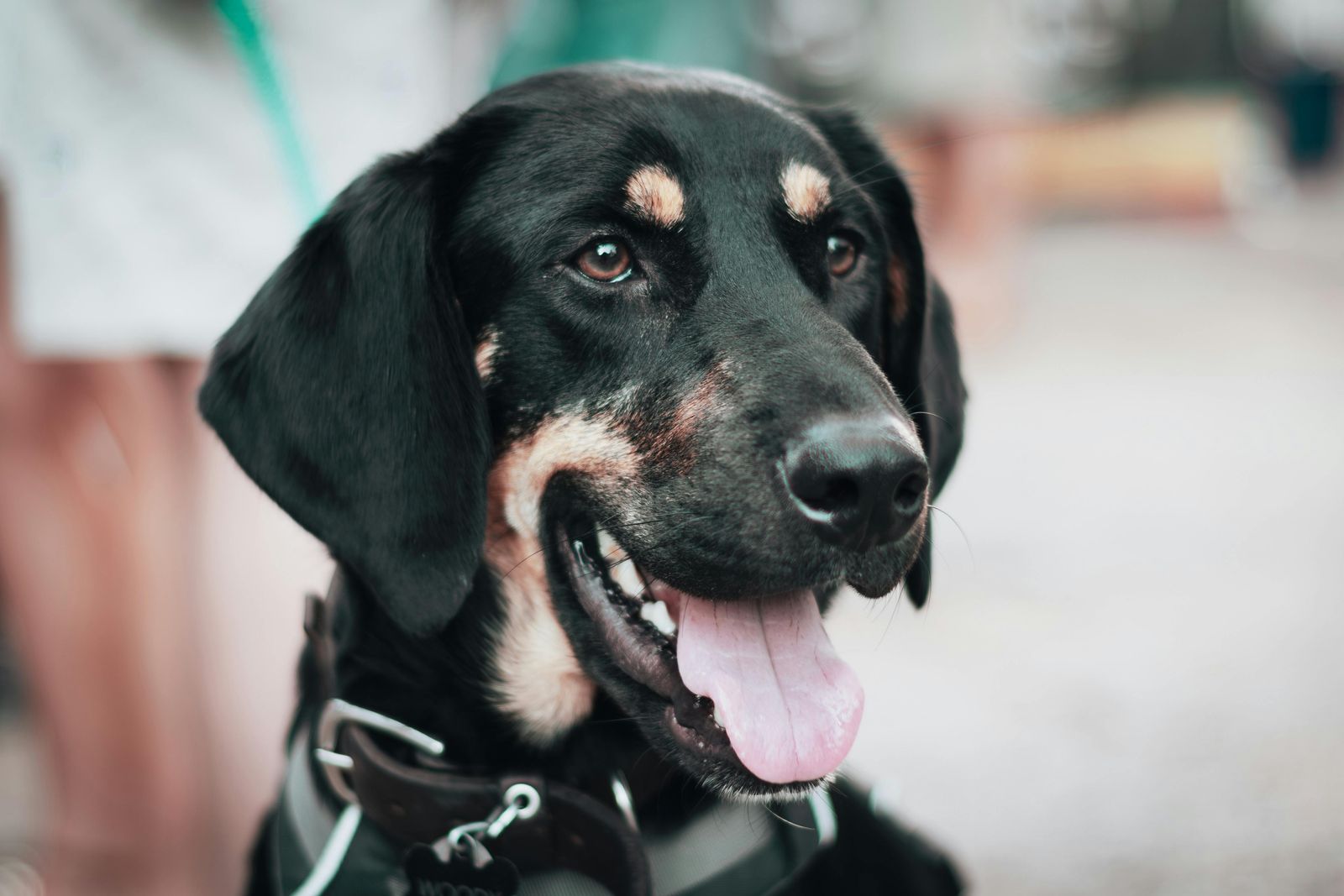 Does A Concrete Patio Increase Property Taxes? Things to Know